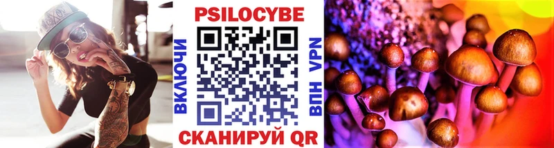 где купить   Пенза  Псилоцибиновые грибы GOLDEN TEACHER 