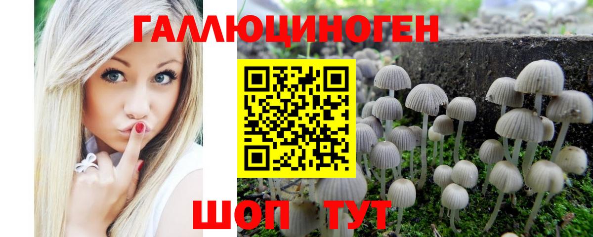 Пенза  Псилоцибиновые грибы GOLDEN TEACHER  Вход с VPN  Галлюциногенные грибы мицелий 