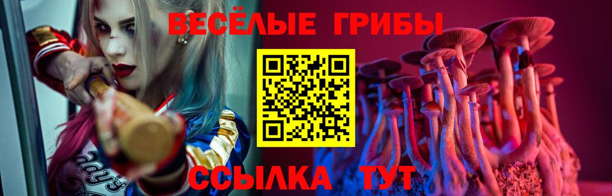 Псилоцибиновые грибы Cubensis Пенза